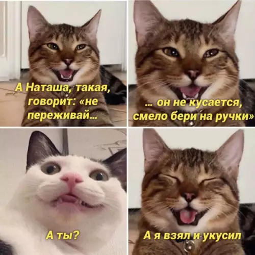 Смешная картинка №659683