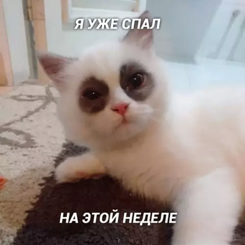 Смешная картинка №408235