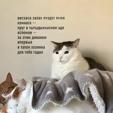 продолжение Смешная картинка №790394