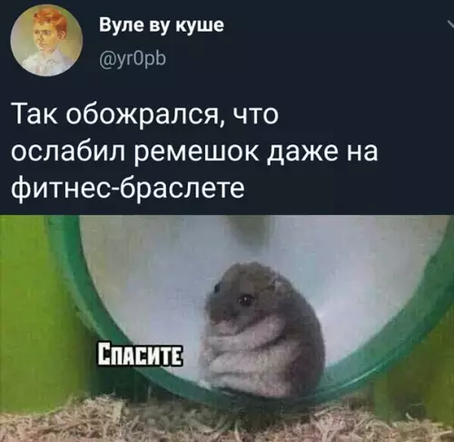 Смешная картинка №424646