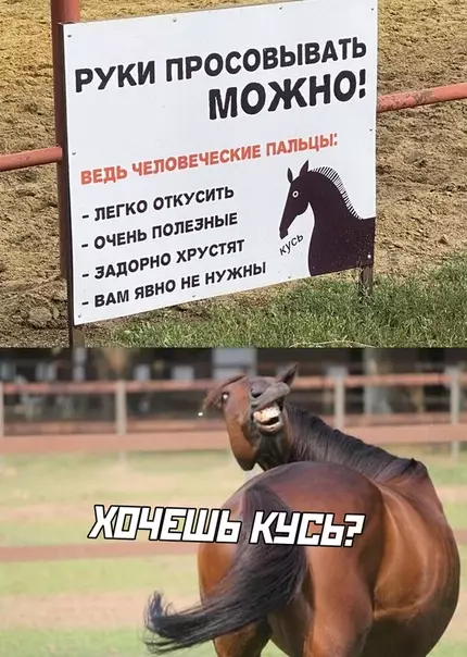 Смешная картинка №510269