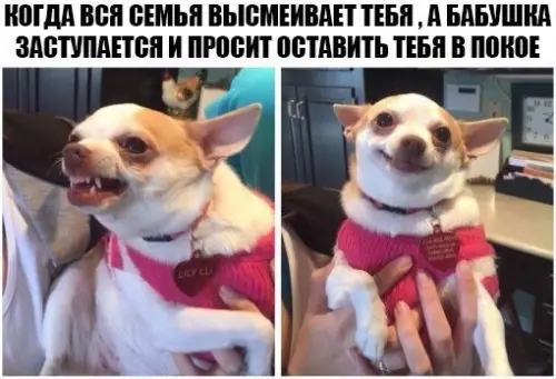 Смешная картинка №207107