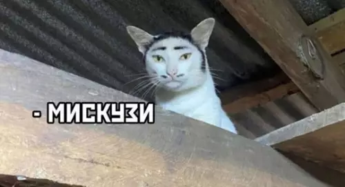 Смешная картинка №765751