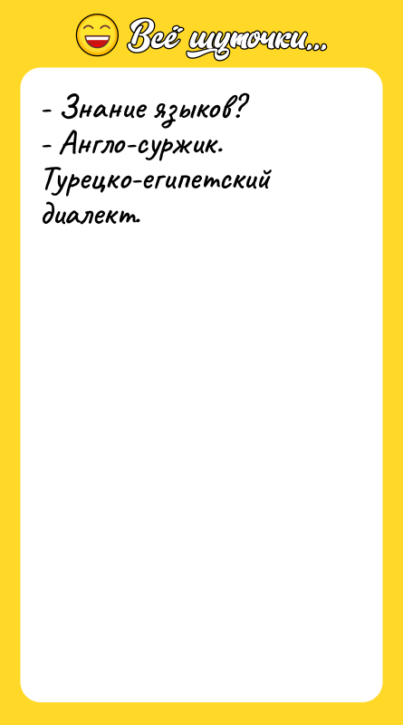 - Знание языков? - Англо-суржик. Турецко-египетский диалект.