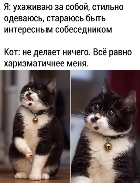 Смешная картинка №491751