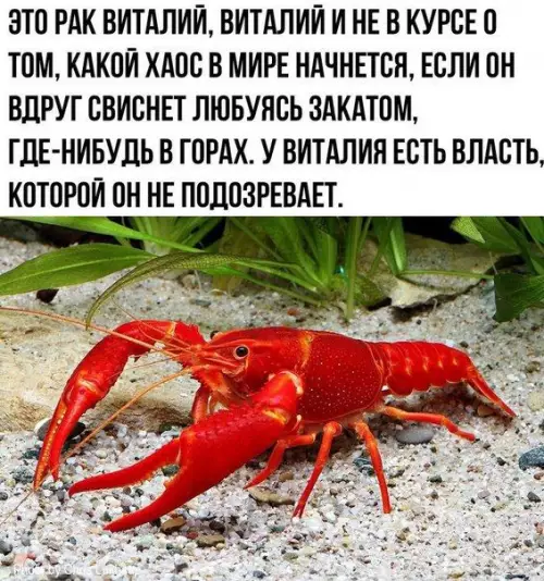 Смешная картинка №394501