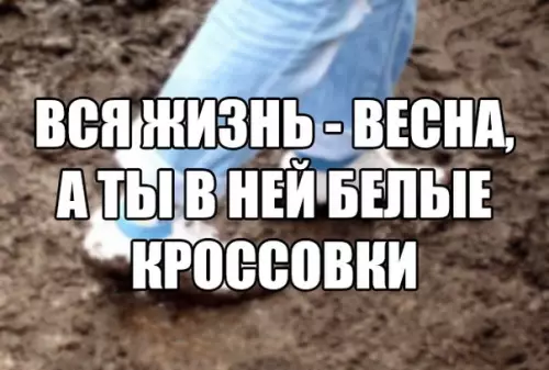 Смешная картинка №263873