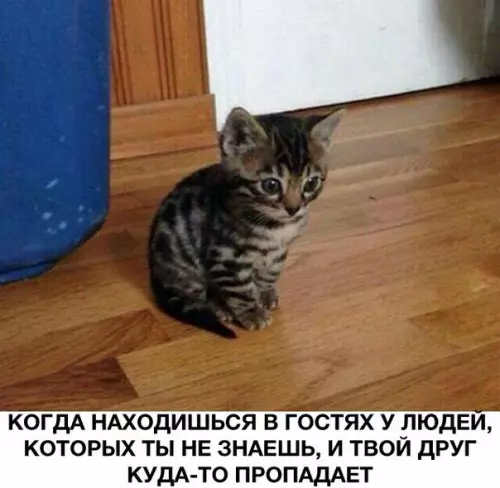 Смешная картинка №176098