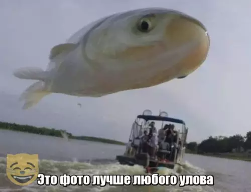 Смешная картинка №367378 #приколы #картинки #мемы ?
