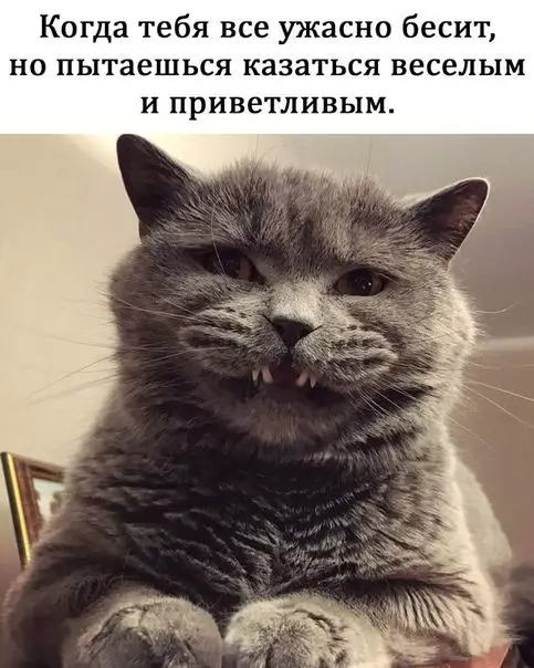 Смешная картинка №447255
