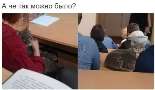 Смешная картинка №222988