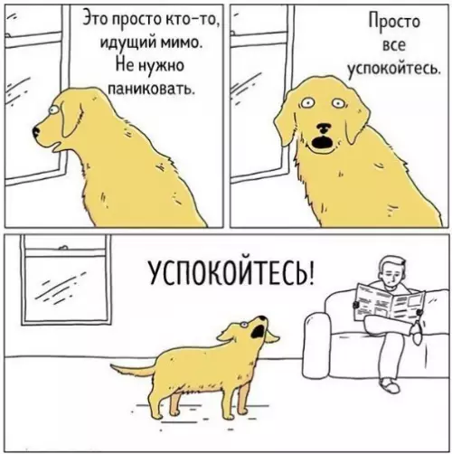 Смешная картинка №279596 Собаки