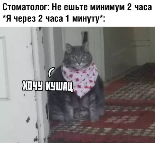Смешная картинка №364935