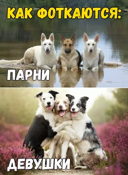Смешная картинка №368873