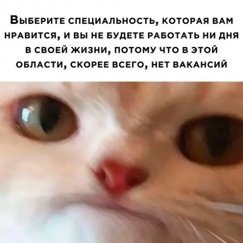 Смешная картинка №702473