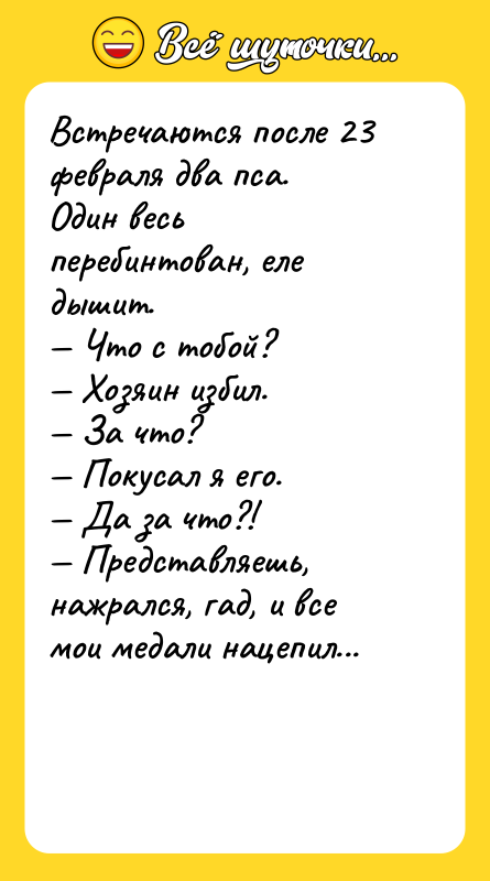 Встречаются после 23 февраля два пса. Один весь перебинтован, еле