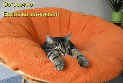 Смешная картинка №191386