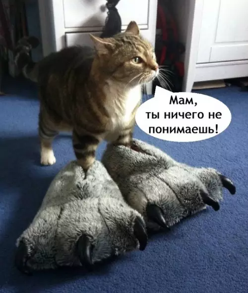Смешная картинка №766201