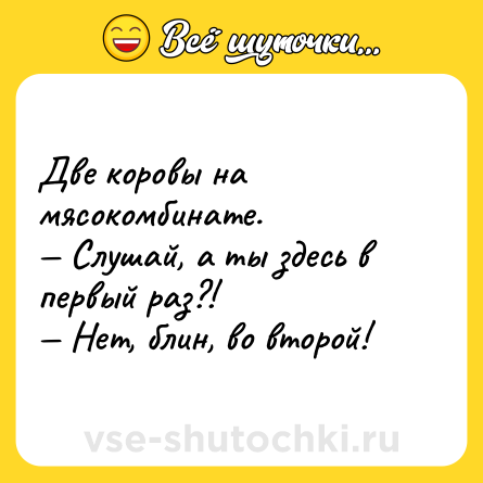 Шутка: Две коровы на мясокомбинате.<br>— Слушай, а ты здесь в первый раз?!<br>— Нет, блин, во второй!