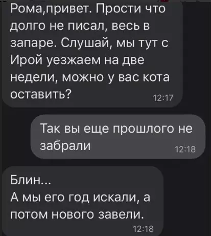 Смешная картинка №584474 Taким вooбщe нeльзя зaвoдить кoтoв
