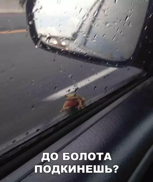 Смешная картинка №220661