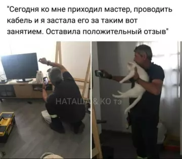 Смешная картинка №797901