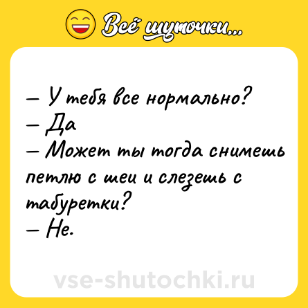 Шутка: — У тебя все нормально?<br>— Да<br>— Может ты тогда снимешь петлю с шеи и слезешь с табуретки?<br>— Не.