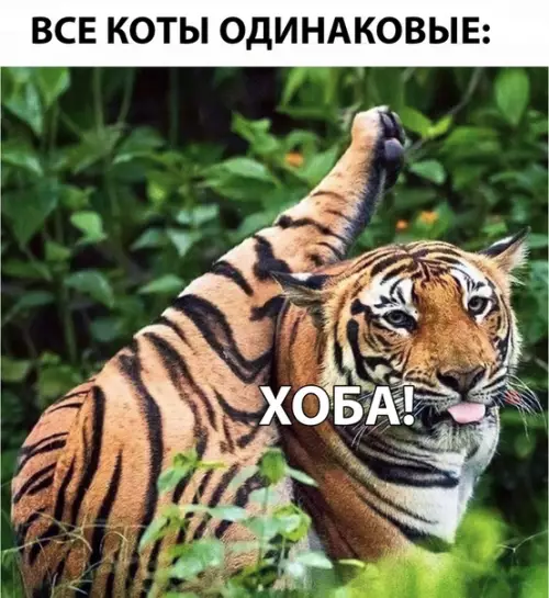 Смешная картинка №289807