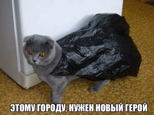 Смешная картинка №244218