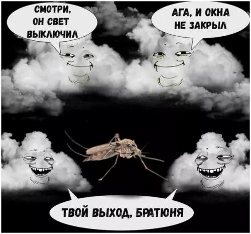 Смешная картинка №191724