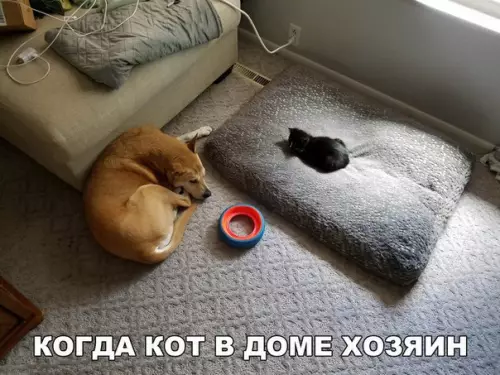 Смешная картинка №232444