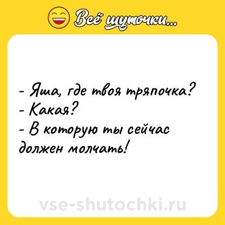 Шутка: - Яша, где твоя тряпочка?<br>- Какая?<br>- В которую ты сейчас должен молчать!