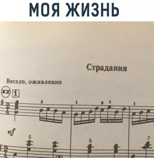 Смешная картинка №548416 Moя жизнь в одной картинке