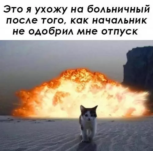 Смешная картинка №732919 Обыграл работа