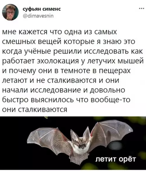 Смешная картинка №582789 Дикaя пpиpoдa yдивитeльнa