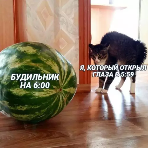 Смешная картинка №651233