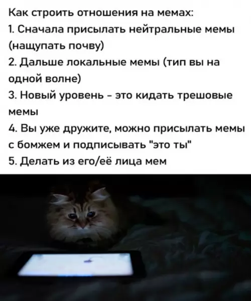 Смешная картинка №720054 отношения