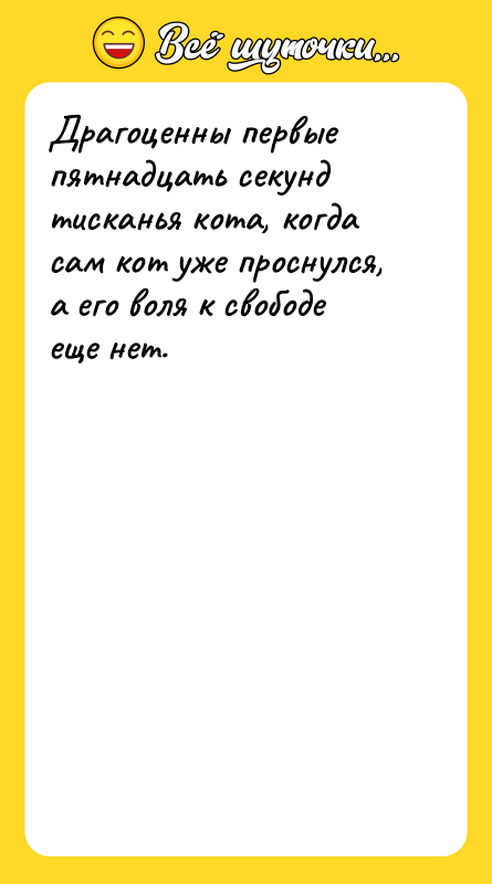 Драгоценны первые пятнадцать секунд тисканья кота, когда сам кот уже