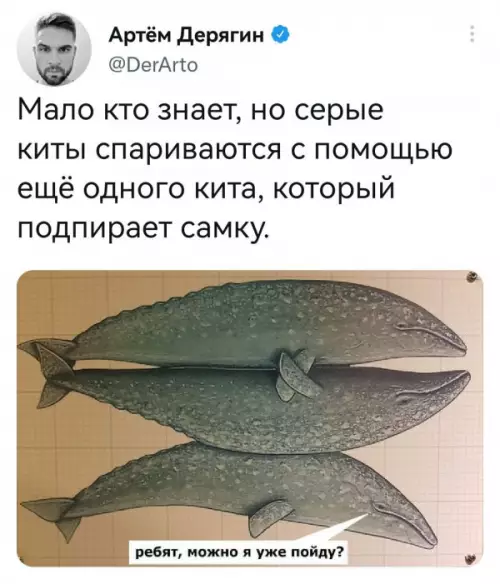 Смешная картинка №658192