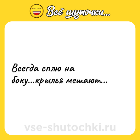 Шутка: Всегда сплю на боку…крылья мешают...