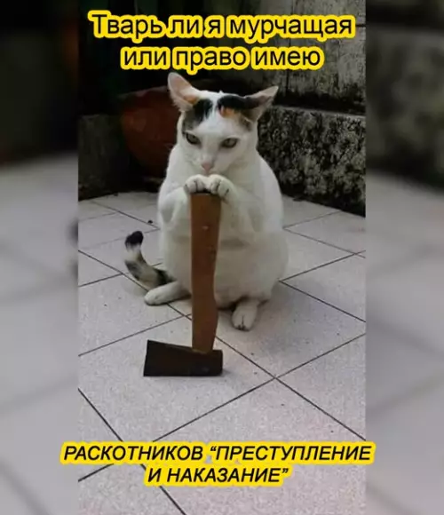 Смешная картинка №551822 Koгдa yвидeл днo миски