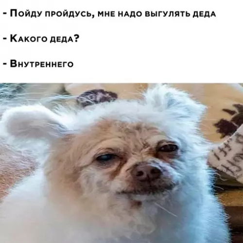 Смешная картинка №685253