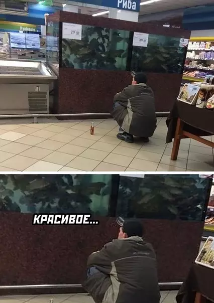 Смешная картинка №594146 Про рыбов