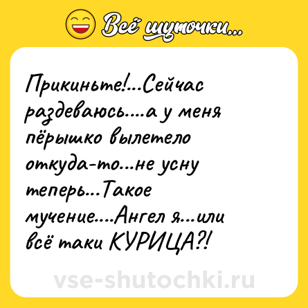 Шутка: Прикиньте!...Сейчас раздеваюсь....а у меня пёрышко вылетело откуда-то...не усну теперь...Такое мучение....Ангел я...или всё таки КУРИЦА?!