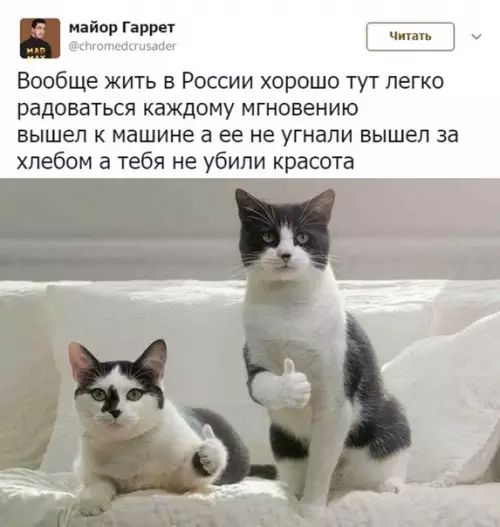Смешная картинка №388368