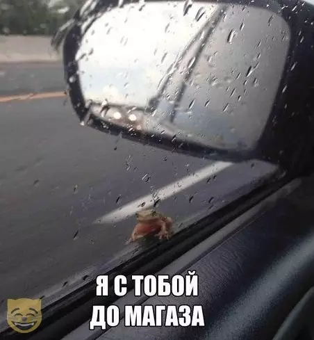 Смешная картинка №388361