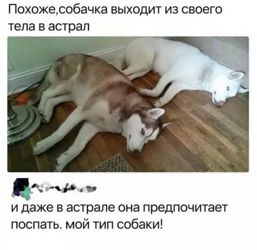 Смешная картинка №278529