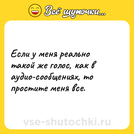 Шутка: Если у меня реально такой же голос, как в аудио-сообщениях, то простите меня все.