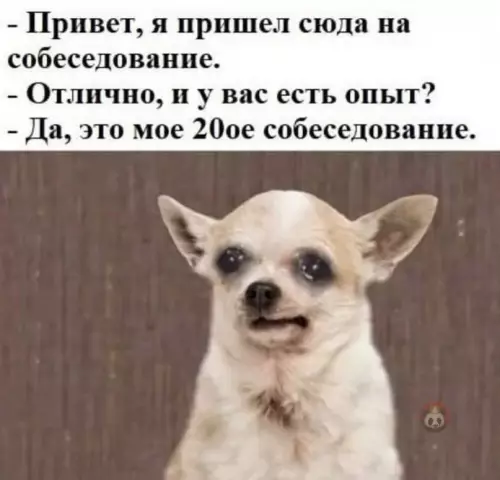 Смешная картинка №605467 Ахахаха ?