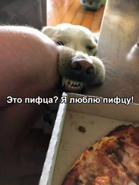 Смешная картинка №248793